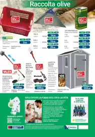 Volantino Cfadda Pagina 16: Casetta Manor Small €559,00, Scuoti olive a batteria 18V + starter-kit 4 ah. Einhell €229,90