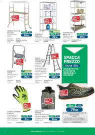 Volantino Cfadda Pagina 8: Scala telescopica 4+4 gradini €159,90, Sgabello tinto €29,90