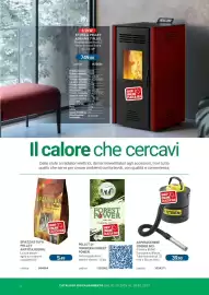 Volantino Cfadda Pagina 2: Spazzastufa pellet antifuliggine €5,49, Aspiracenere Cinder 603 €39,90