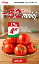 Dino gazetka Strona 1