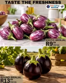 Take 'n Pay catalogue Page 12