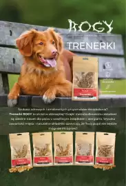 AquaelZOO gazetka Strona 11