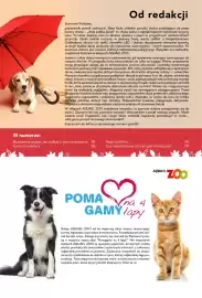 AquaelZOO gazetka Strona 3: W numerze: Szanowni Państwo, Od redakcji październik potrafi zachwycić. Złote liście, chłodne