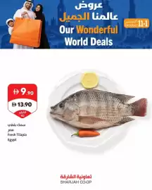 Sharjah Co-op catalogue Page 8