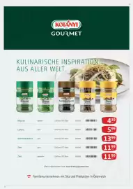Kastner Flugblatt Seite 24