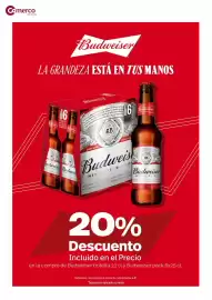 Folleto Comerco Cash & Carry Página 20
