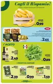 Volantino Coop Radenza Pagina 14: Lattughino Bonduelle €0,99, Insalata Iceberg Naturizia €1,59