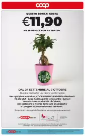 Volantino Coop Radenza Pagina 36: Bonsai Verde Speranza €11,90