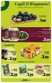 Volantino Ipercoop Radenza Pagina 24: Rucola IGP Naturizia €1,29, Cereallegre Bonduelle €2,99