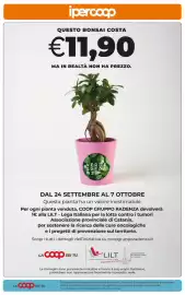 Volantino Ipercoop Radenza Pagina 55: Bonsai Verde Speranza €11,90