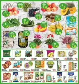 Volantino Supermercati EffePiù Pagina 6: Bonduelle songino e radicchio €0,99, Tortilla fresca classica €2,49