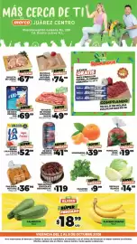 Folleto Merco semana 40 Página 1: Repollo Blanco €14,99, Cilantro manojo €9,99