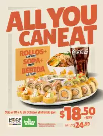 Catálogo Kobe Sushi Express Página 1
