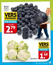 Hoogvliet folder week 41 Pagina 11: Blauwe bessen €2,79, Bloemkool €1,49