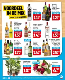 Hoogvliet folder week 41 Pagina 25: Gemengde rozen €4,99, Kamerplanten €10,99