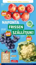 ALDI akciós újság hét 41 Oldal 28