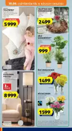 ALDI akciós újság hét 41 Oldal 36