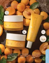 Justine brochure Page 25
