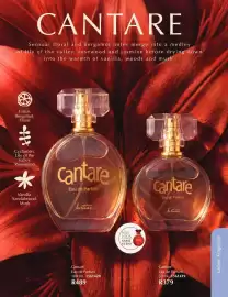 Justine brochure Page 50