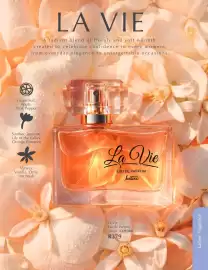 Justine brochure Page 52