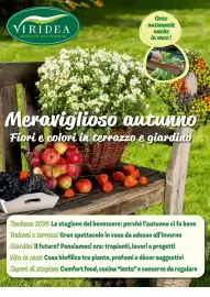 Volantino Viridea Pagina 1