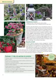 Volantino Viridea Pagina 10