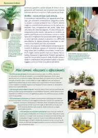 Volantino Viridea Pagina 12