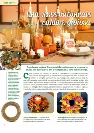 Volantino Viridea Pagina 16