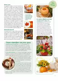 Volantino Viridea Pagina 17