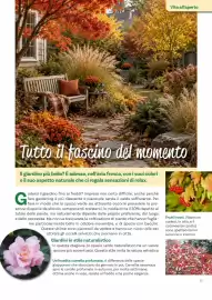 Volantino Viridea Pagina 19