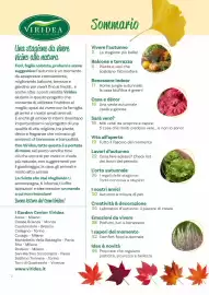 Volantino Viridea Pagina 2