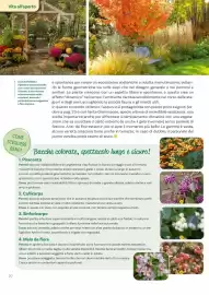 Volantino Viridea Pagina 20