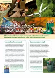 Volantino Viridea Pagina 22