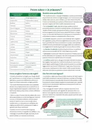 Volantino Viridea Pagina 23