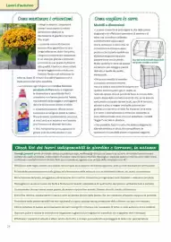 Volantino Viridea Pagina 24