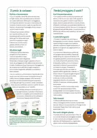 Volantino Viridea Pagina 25
