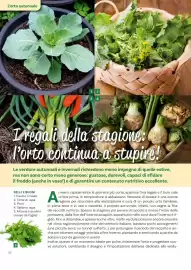 Volantino Viridea Pagina 26