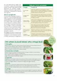 Volantino Viridea Pagina 27
