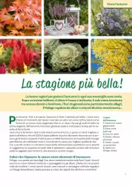 Volantino Viridea Pagina 3