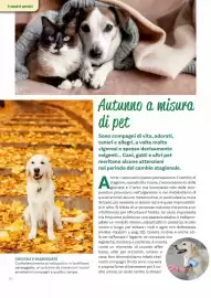 Volantino Viridea Pagina 30