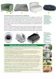 Volantino Viridea Pagina 31