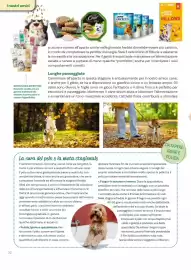 Volantino Viridea Pagina 32