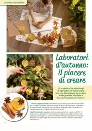 Volantino Viridea Pagina 34
