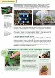 Volantino Viridea Pagina 36