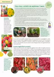 Volantino Viridea Pagina 4