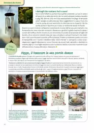 Volantino Viridea Pagina 40
