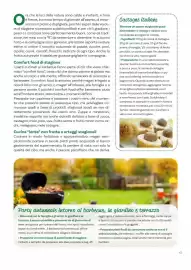 Volantino Viridea Pagina 43