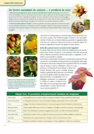 Volantino Viridea Pagina 44