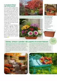 Volantino Viridea Pagina 5