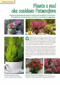 Volantino Viridea Pagina 6
